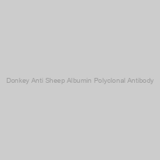 Image of Donkey Anti Sheep Albumin Polyclonal Antibody